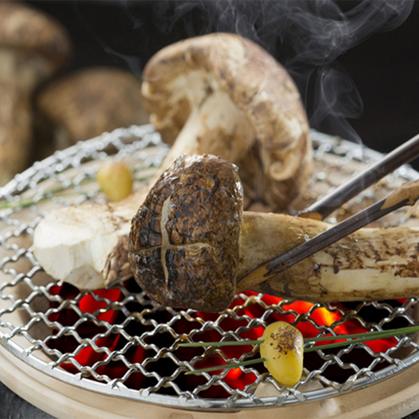 canadian pine mushrooms matsutake